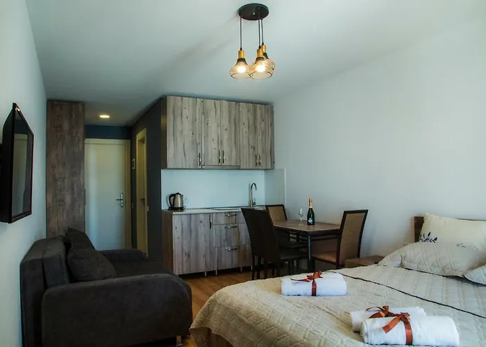 New Gudauri Loft II Apartment